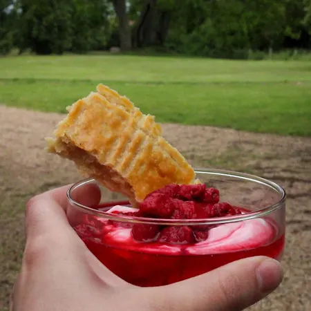 Chateau De Maisonneuve 住宿加早餐酒店