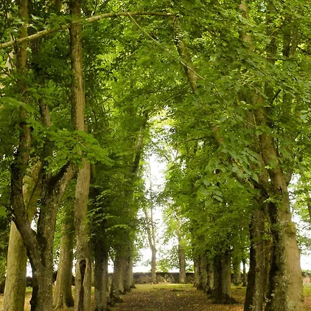 Chateau De Maisonneuve 住宿加早餐酒店 Leigne-les-Bois