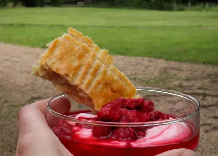 Chateau De Maisonneuve Bed & Breakfast